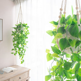 Mkono macrame plant hanger showcases 29-inch display for cozy corners.