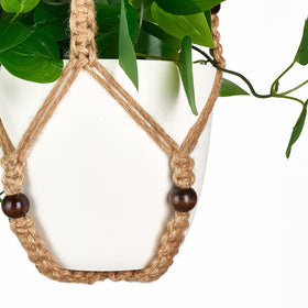 Mkono greenery elevates kitchen, bedroom, or living room decor.