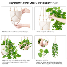 Mkono plastic pot with 6.5-inch opening supports neat plant display.