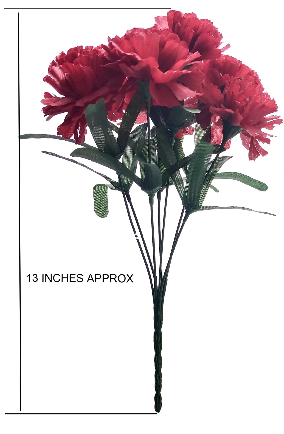 MM TJ PRODUCTS close-up of carnation heads showing 2–3 inch diameter.