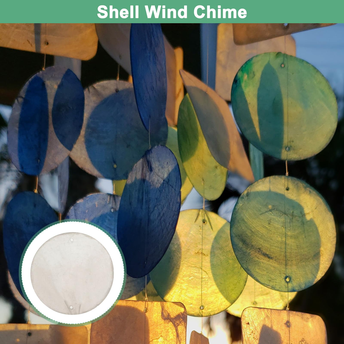 M METERXITY craft shell collection, 100 pieces, ideal for festive crafts.