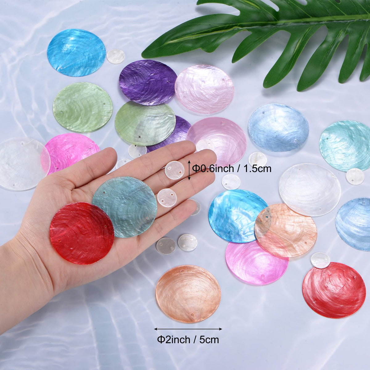 M METERXITY natural shell connectors, polished discs for creative wind chimes.
