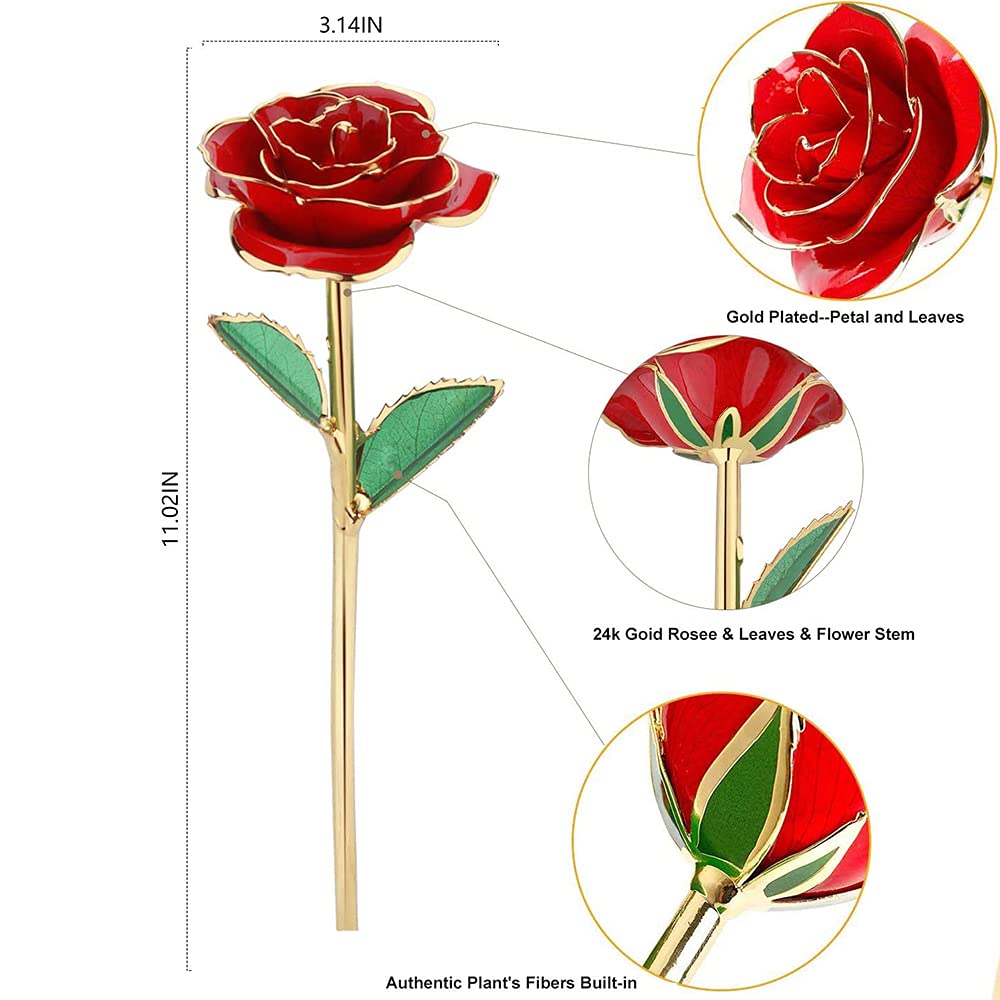 MNIEYU Gold Rose display stand keeps the bloom elegant on any surface