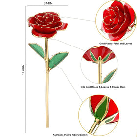 MNIEYU Gold Rose display stand keeps the bloom elegant on any surface