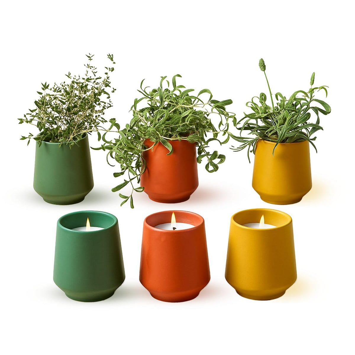 Modern Sprout 2in1 scented candle seeds for indoor herb garden.