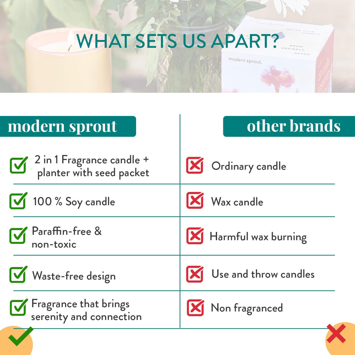 Modern Sprout 6 oz soy candle with clean, paraffin-free burn.