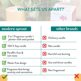 Modern Sprout 6 oz soy candle with clean, paraffin-free burn.