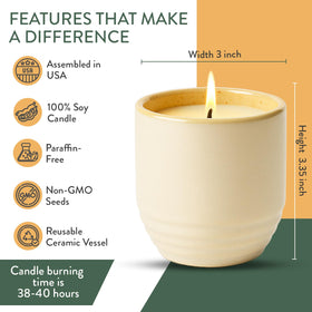 Modern Sprout Cali Lemon and amber moss fragrance notes for calming scent