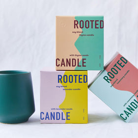 Modern Sprout candle becomes planter after wax burns.