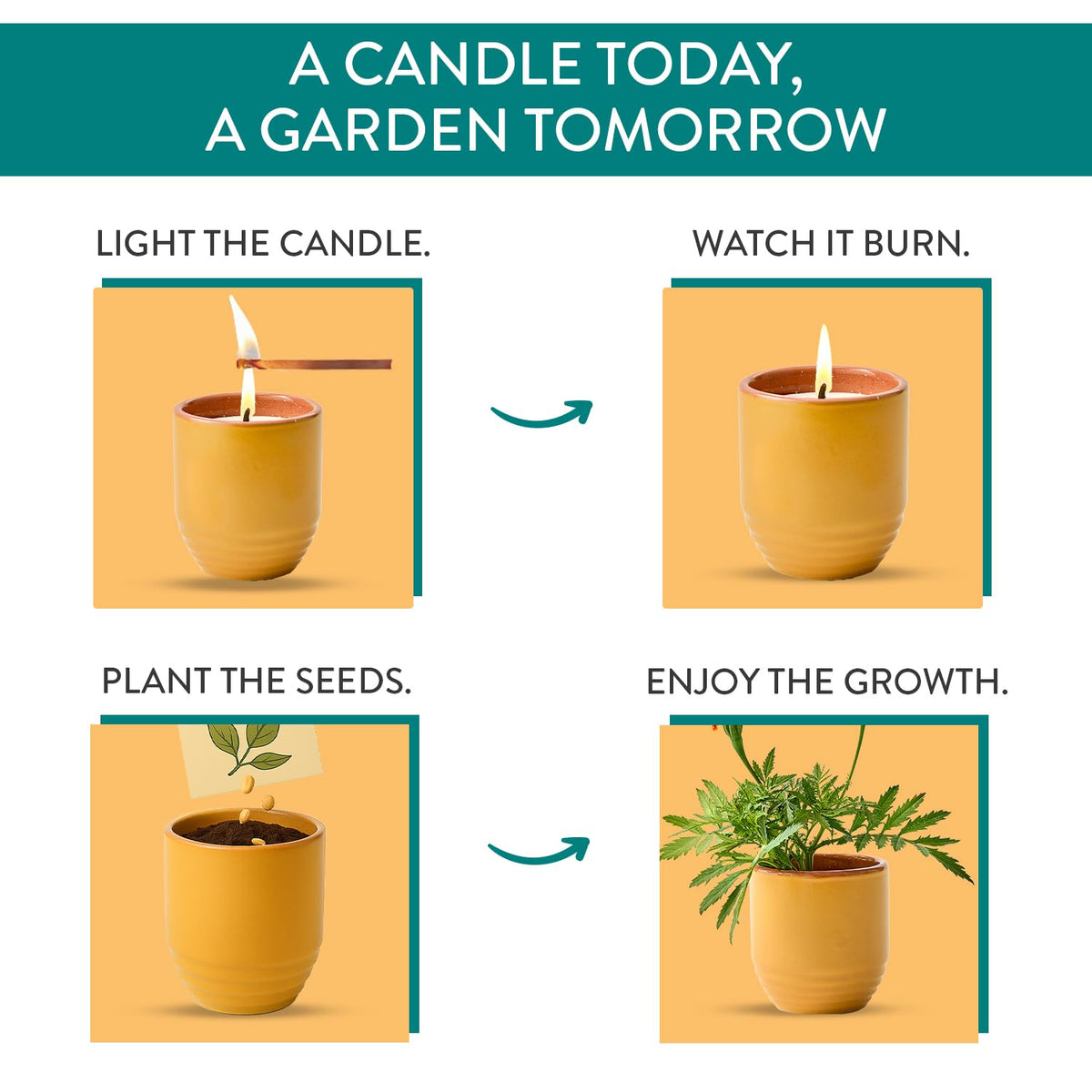 Modern Sprout ceramic jar after burn transforms into planter for seeds.