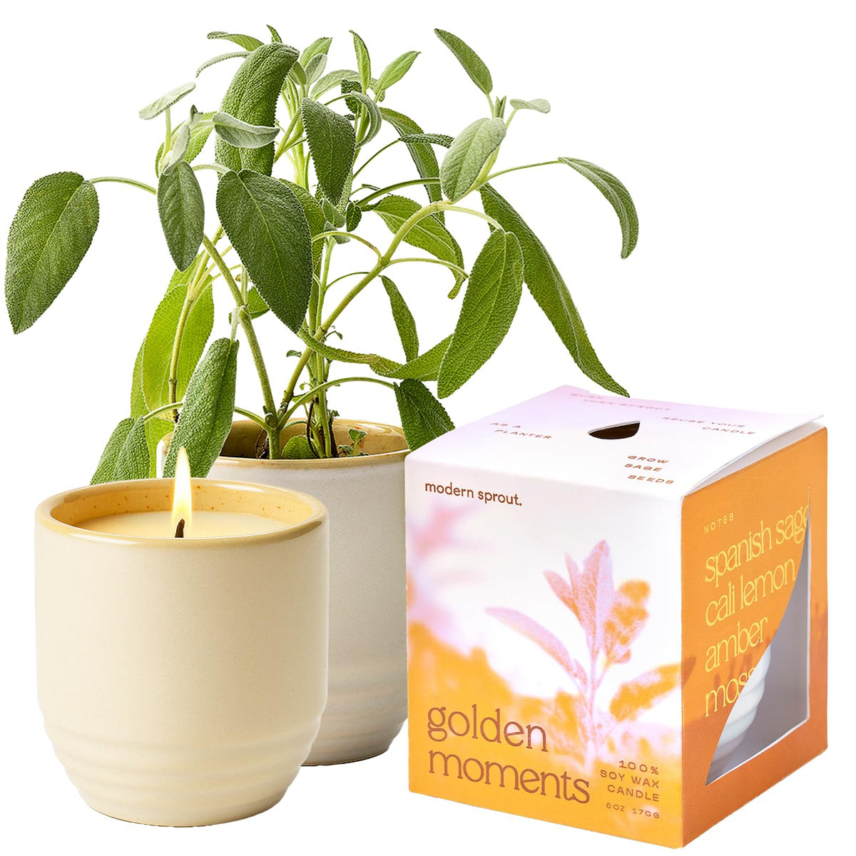 Modern Sprout Garden Vibes 2-in-1 candle-planter for a relaxing room ambiance