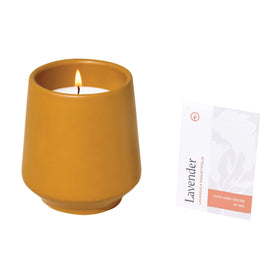 Modern Sprout compact herb kit adds greenery to any room.