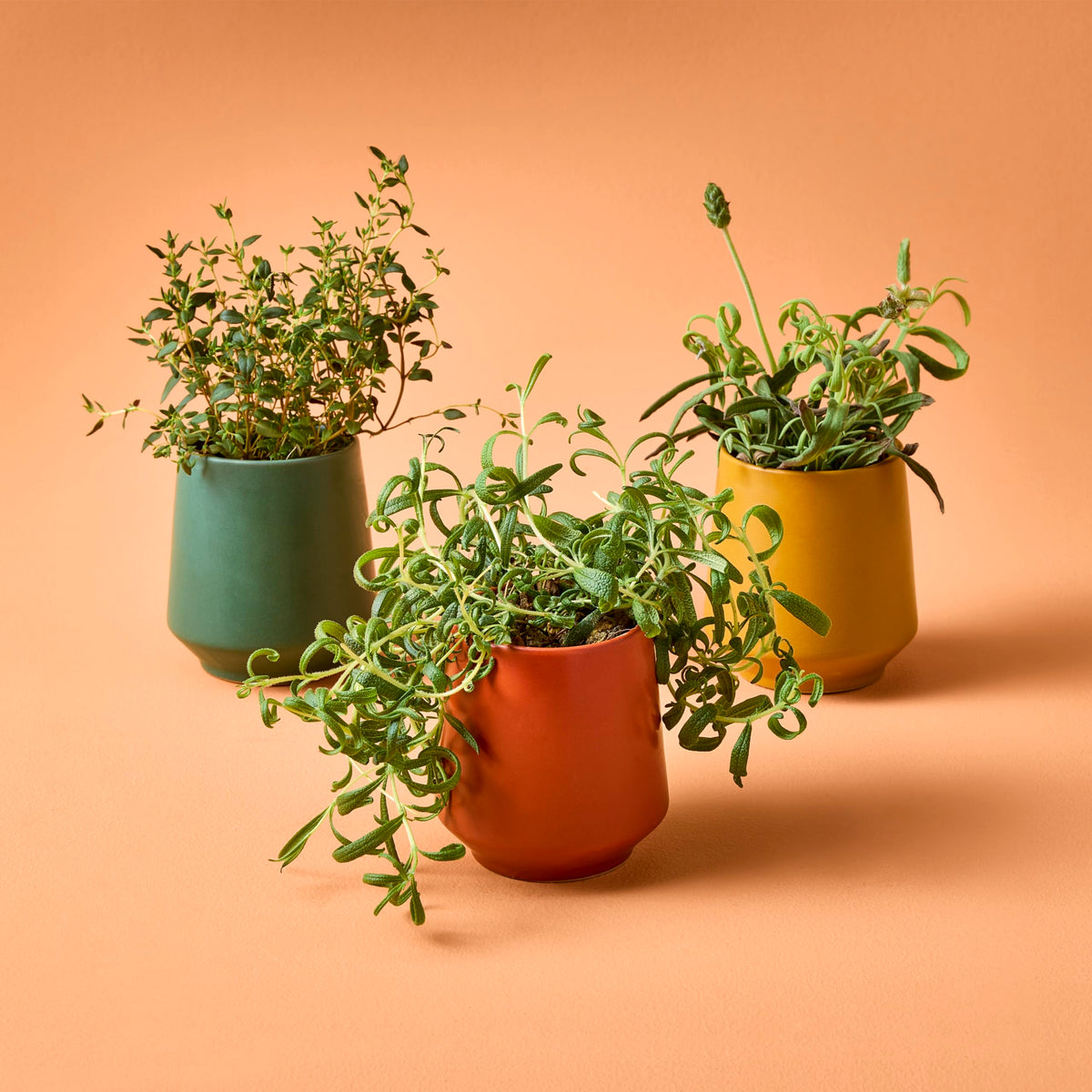 Modern Sprout matte glaze ceramic vessel shown as stylish home decor.