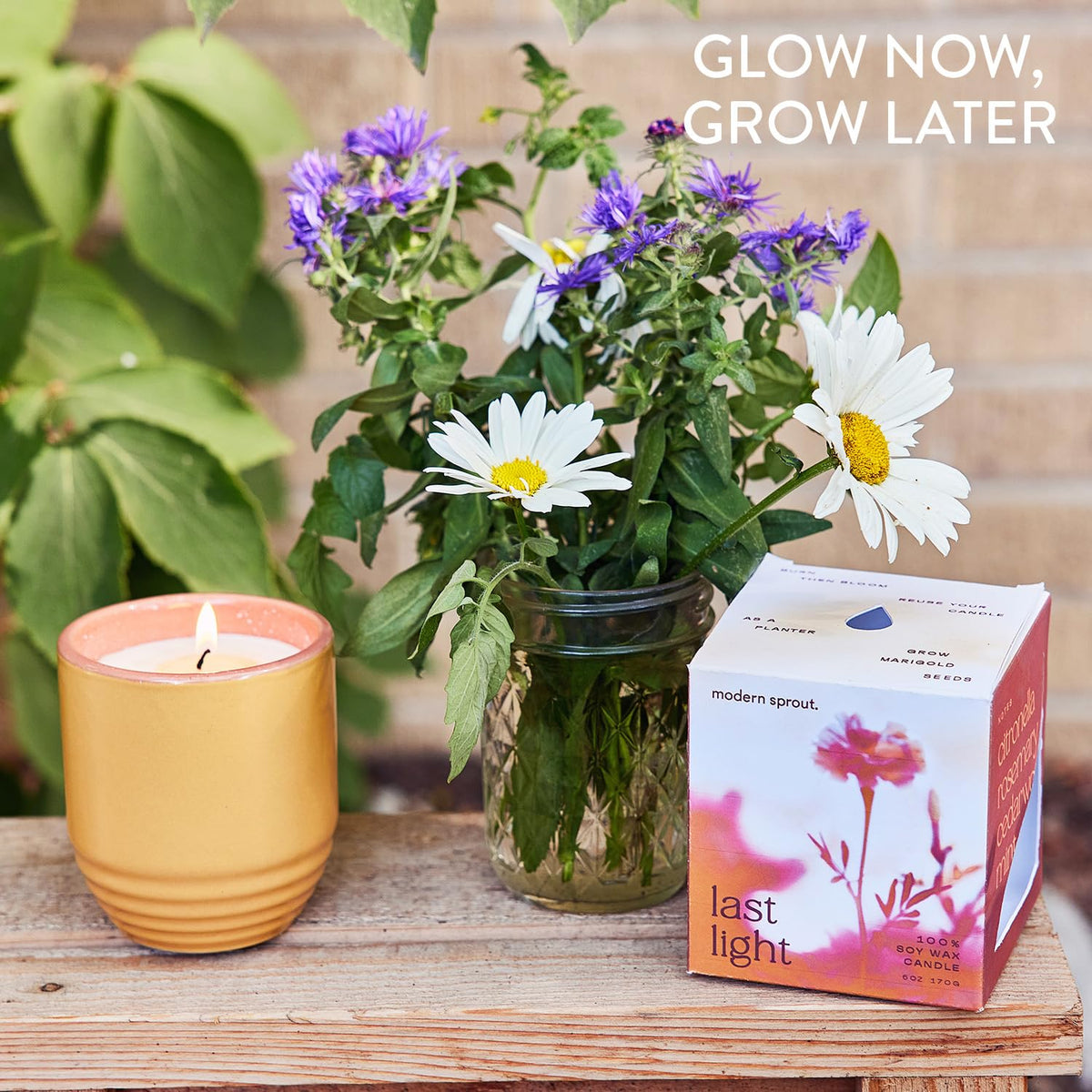 Modern Sprout planter-ready jar supports marigold growth after use.
