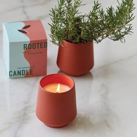 Modern Sprout plastic-free packaging for eco-friendly gifting.