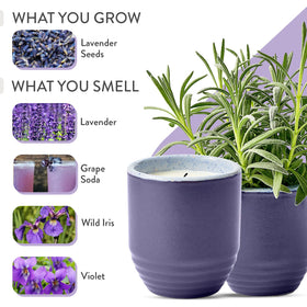Modern Sprout Violet Hour close-up with glazy ceramic surface.