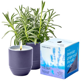 Modern Sprout Violet Hour candle in ceramic planter vessel for stylish, multipurpose decor.