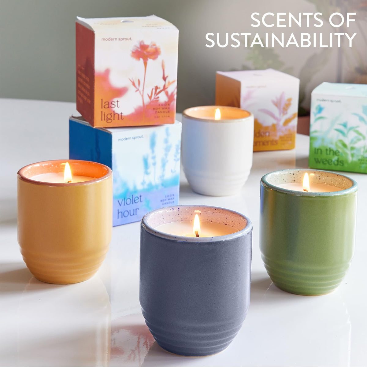 Modern Sprout Violet Hour gift packaging suitable for birthdays or housewarmings.