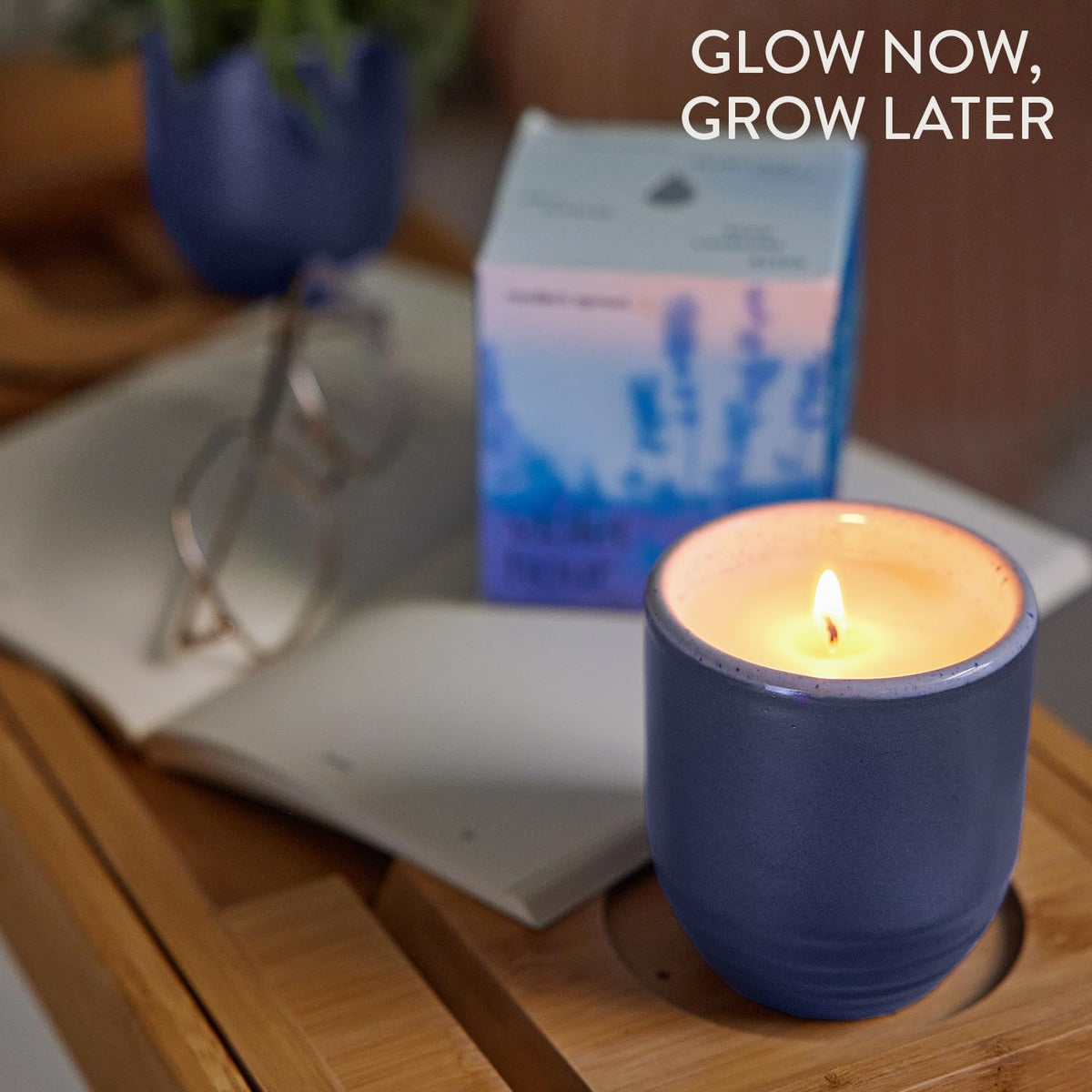 Modern Sprout Violet Hour in-use candle glow enhances calm home ambiance.