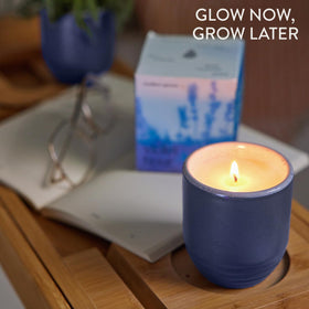 Modern Sprout Violet Hour in-use candle glow enhances calm home ambiance.