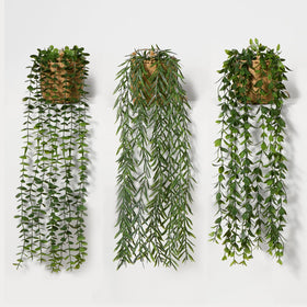Mokof hanging plants in handwoven baskets add instant greenery to walls.