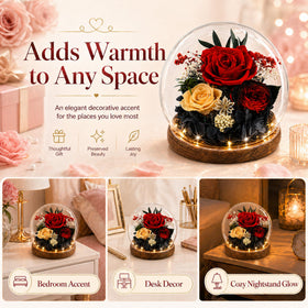MOKOQI Christmas gift rose adds festive decor and sentiment.
