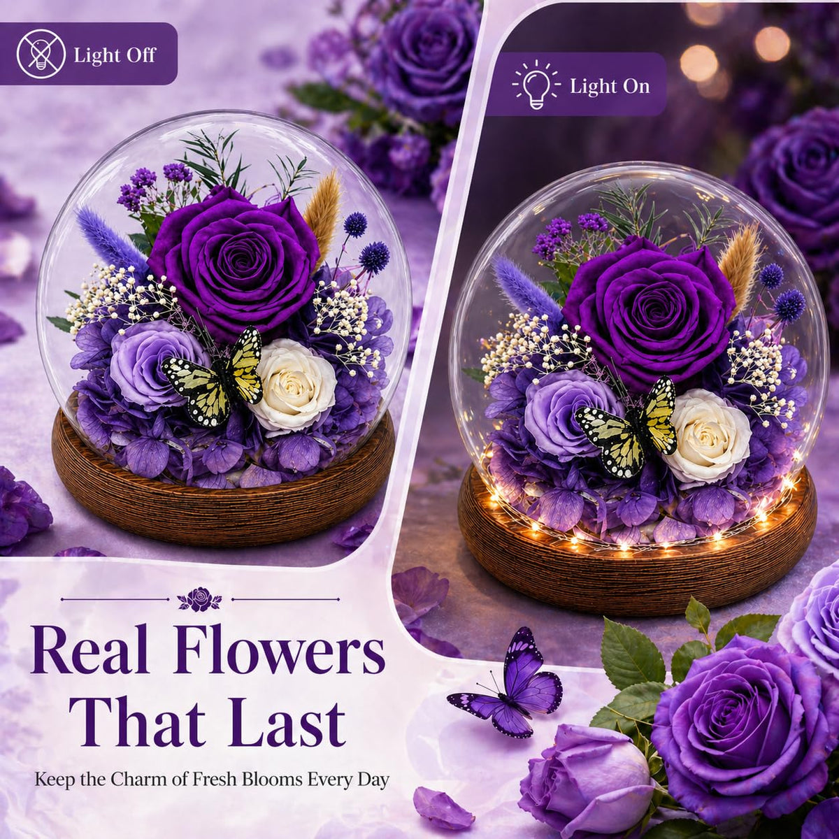MOKOQI clear glass dome rose display complements modern decor