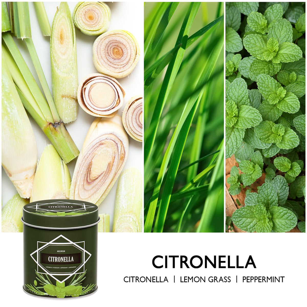 Close-up of Molensun citronella candle tin jar showing natural wax