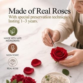 MONSTRE MAISON rose bouquet close-up highlights delicate petals