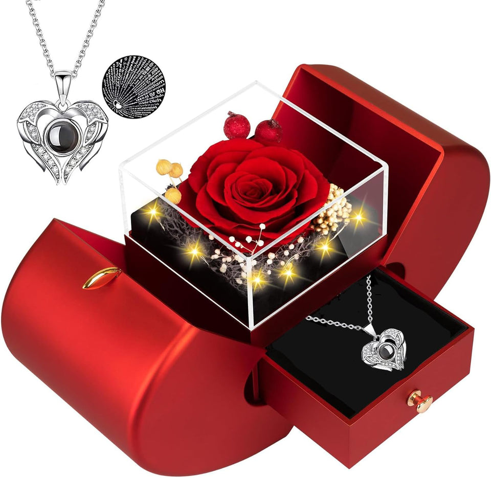 Moshen preserved rose LED display showing a timeless keepsake on display