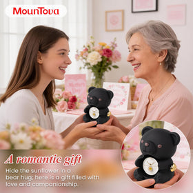 Elegant packaging frames the sunflower bear as a chic home decor piece.