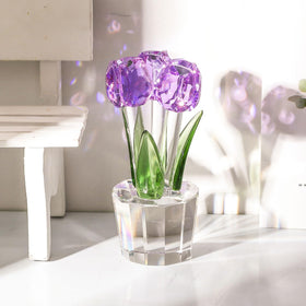 Movdyka Tulips gift box set ready for gifting occasions