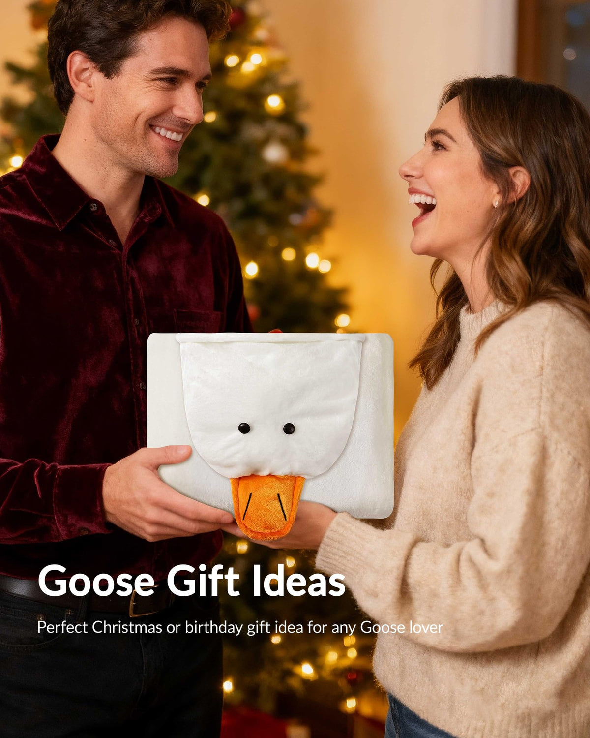 Moyel Goose Gifts gift-ready packaging concept for birthdays or holidays.