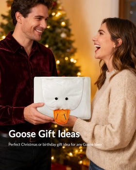 Moyel Goose Gifts gift-ready packaging concept for birthdays or holidays.