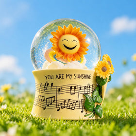 Mr. Winder You Are My Sunshine snow globe glows with colorful lights for cozy spaces.