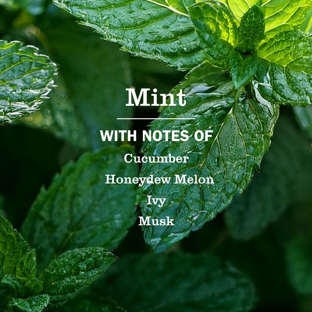 Mrs. Meyer's Mint Room Spray close-up reveals crisp mint aroma.