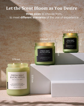 M&SENSE Eucalyptus & Mint candle in living room setup.
