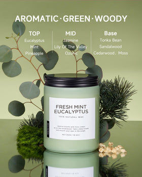 M&SENSE Eucalyptus & Mint candle with gift packaging, ready for gifting.