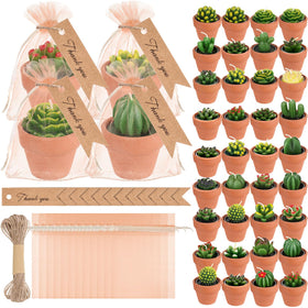 MTLEE succulent tealight candles in terracotta pots for elegant centerpieces