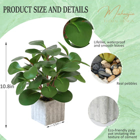 Muhanjia concrete pot square showcasing modern, durable base for greenery