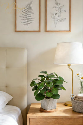 Muhanjia low-maintenance decor idea saves time while adding greenery