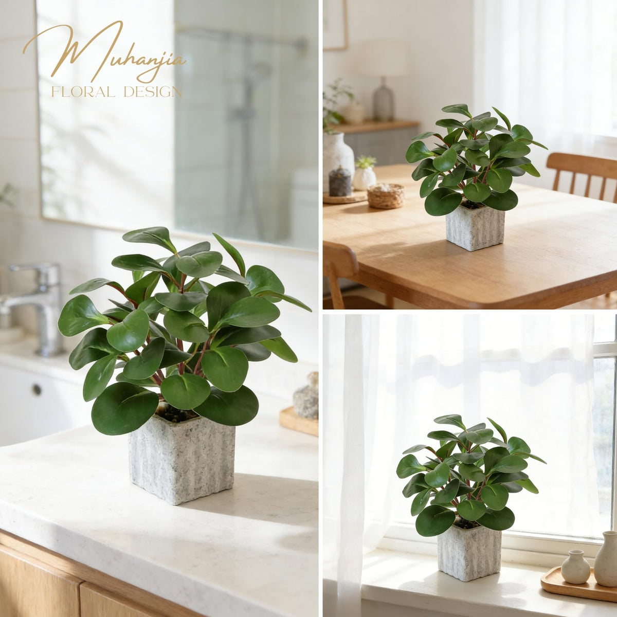 Muhanjia modern minimalist style plant accent for clean, contemporary spaces