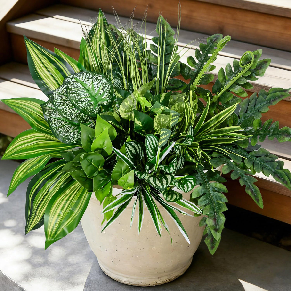 Mutcolor 12 bundles outdoor plants arranged on a porch for year-round greenery.
