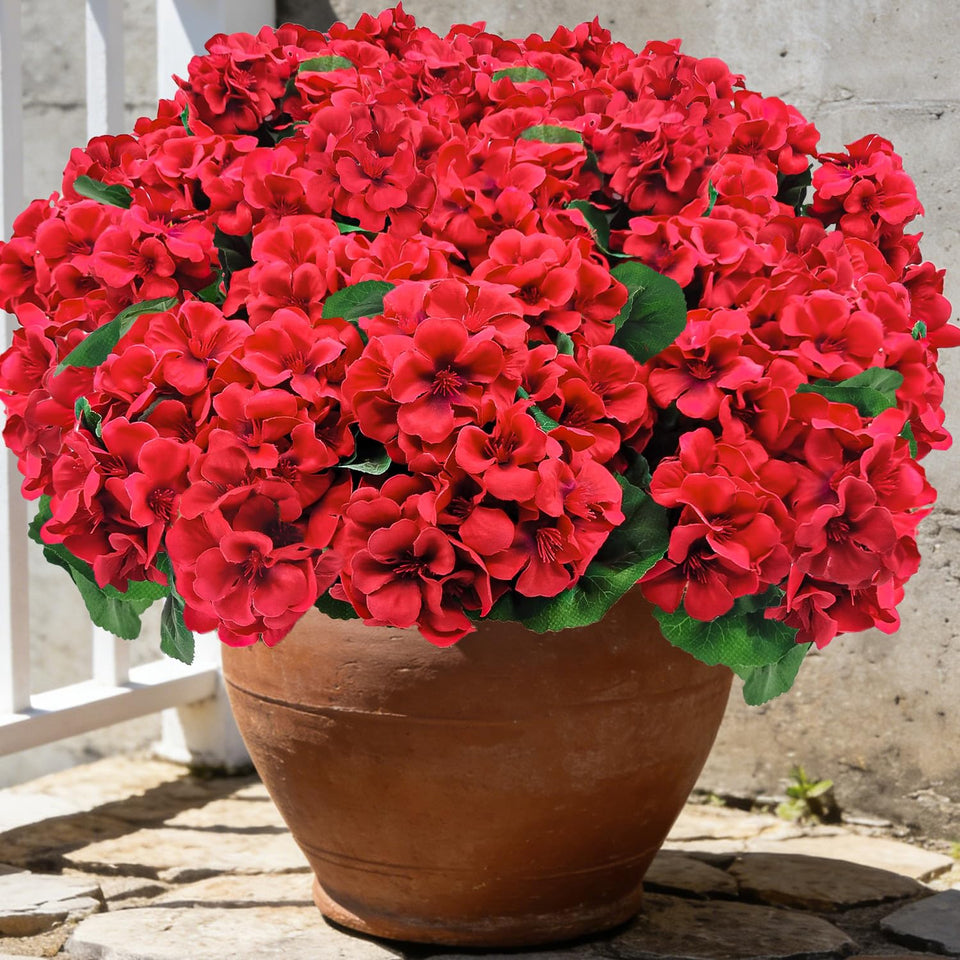Mutcolor 8-bundle outdoor red geranium—low maintenance and lasting color.