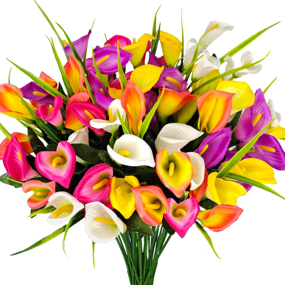 Mutcolor outdoor calla lily flowers with UV resistance for lasting color.