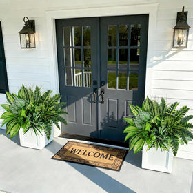 Mutcolor outdoor plants shown in planter setup for porch presentation.