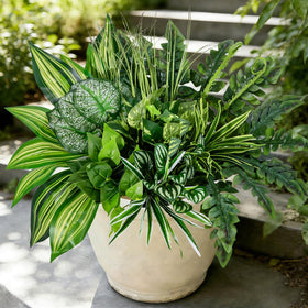 Mutcolor versatile decor suitable for indoor and outdoor spaces across seasons.