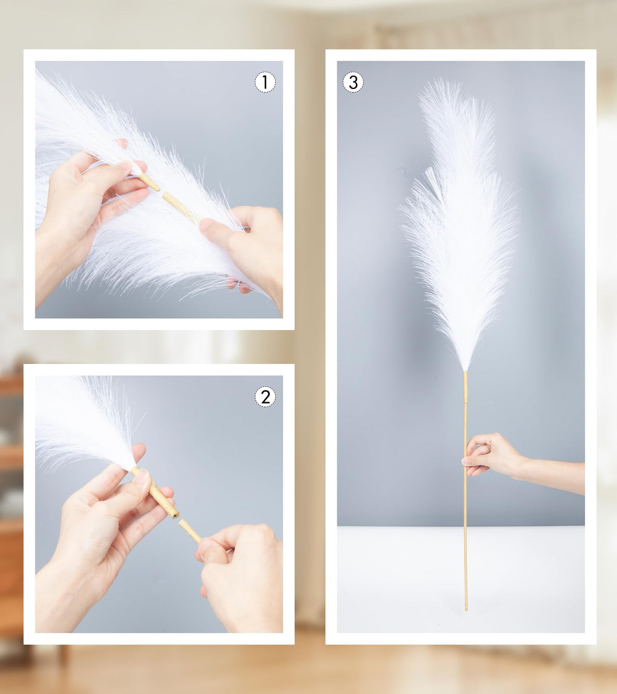 MUUNC pampas grass ideal for wedding arches and ceremony décor.