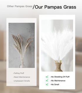 MUUNC white pampas grass provides soft, airy look with long-lasting appeal.