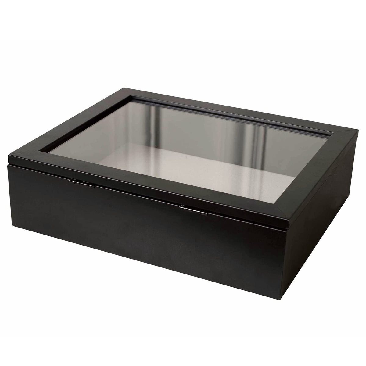 Muzilife 8x10 shadow box display area for photos, tickets, and keepsakes